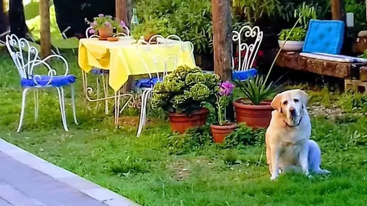 Bed and Breakfast The Italian Riviera San Salvatore  San Salvatore (Genoa)